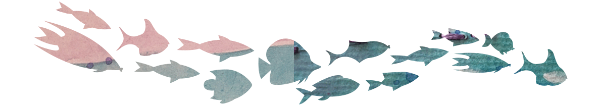 separador_fish2